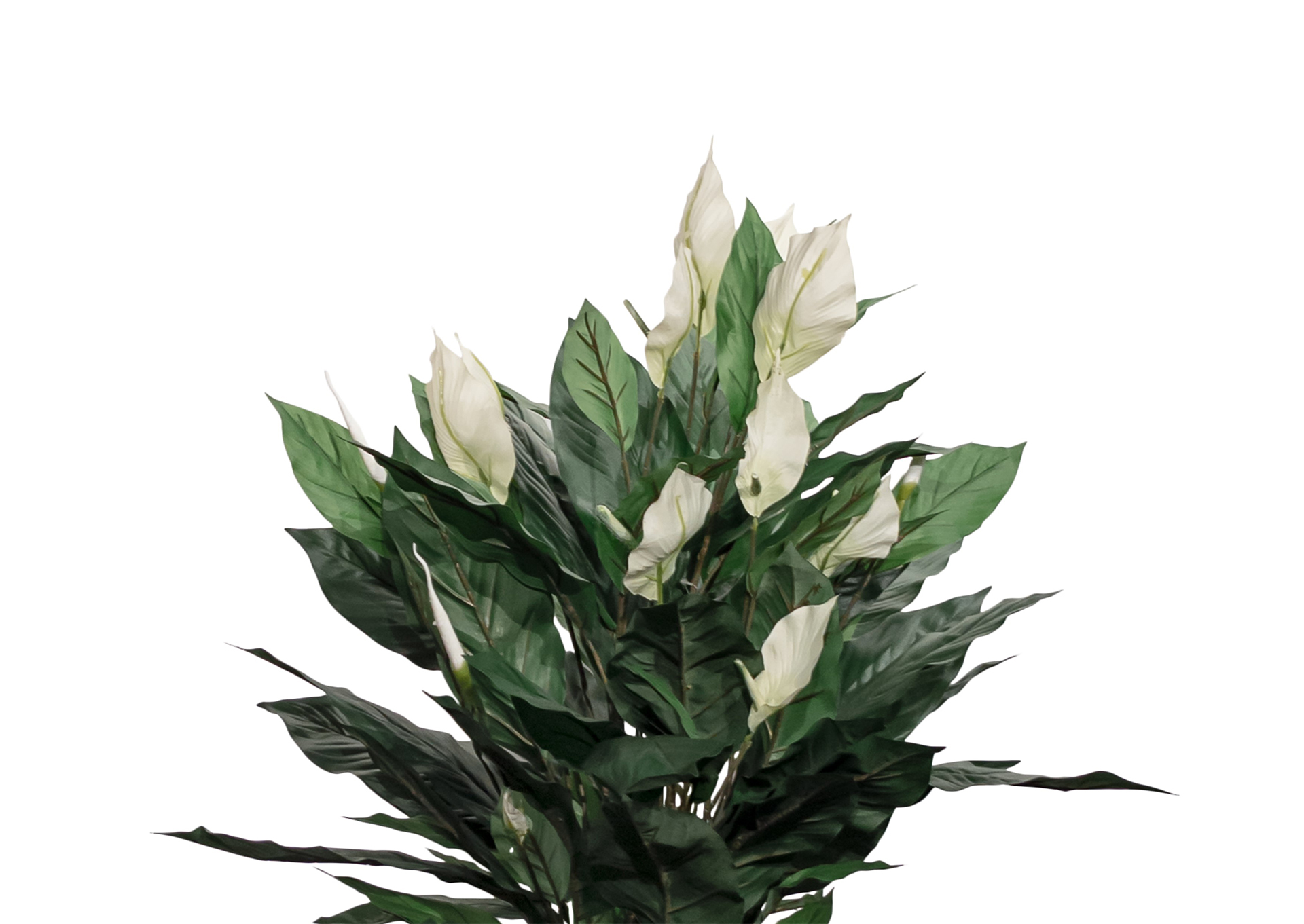 3P57 MOOD  image 3