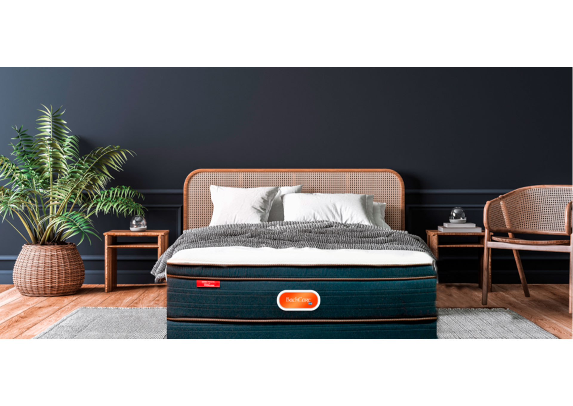 BackCare CAMA  image 4