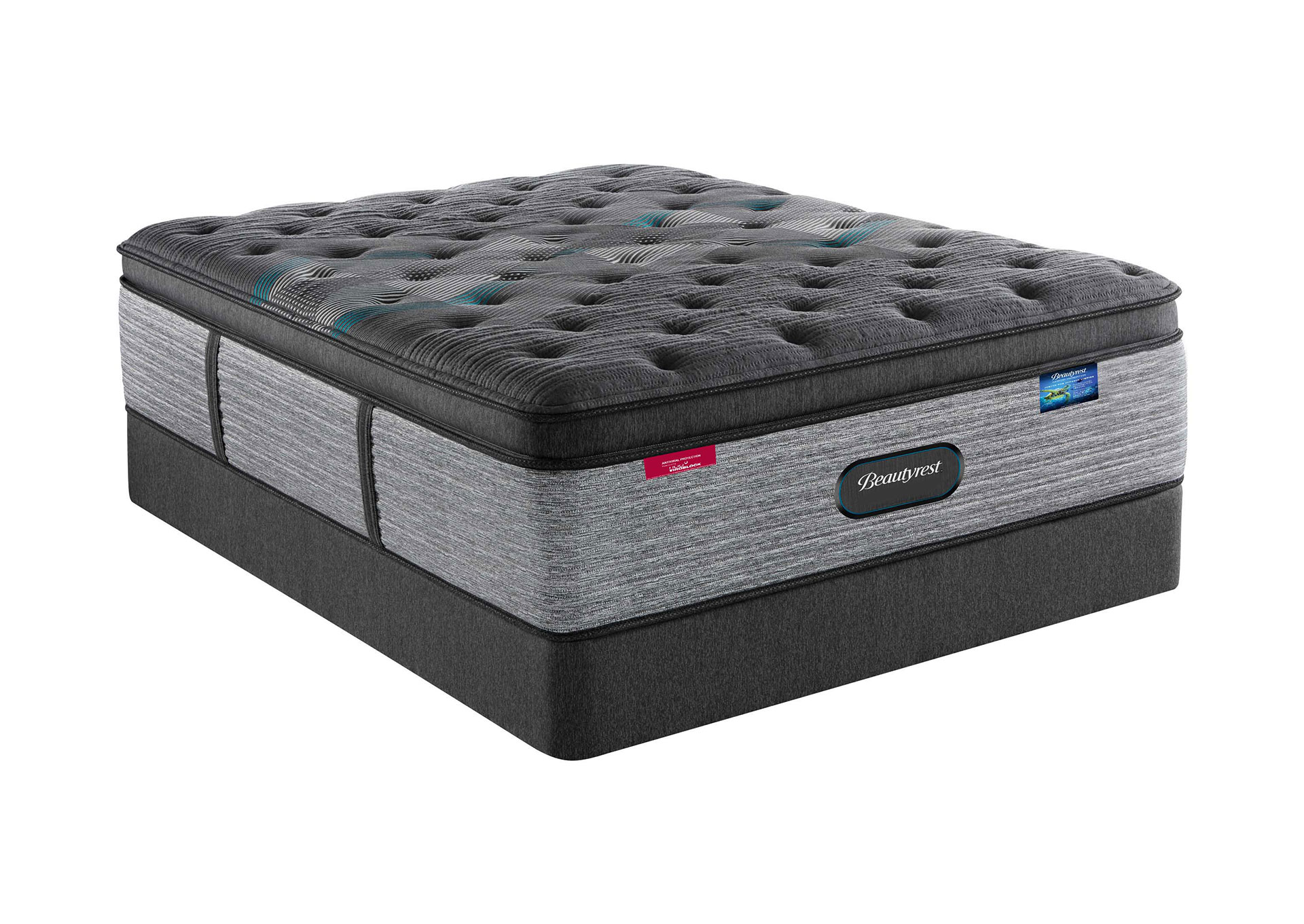 HLUX PT BED image 2