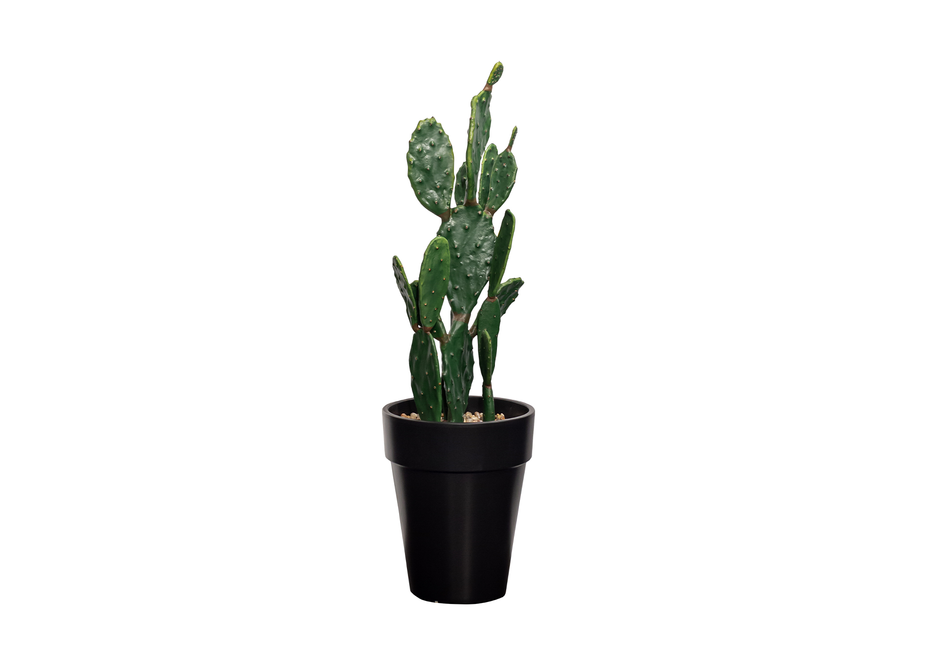 Cactus alto de 3.6 'en 80 SBS image 1