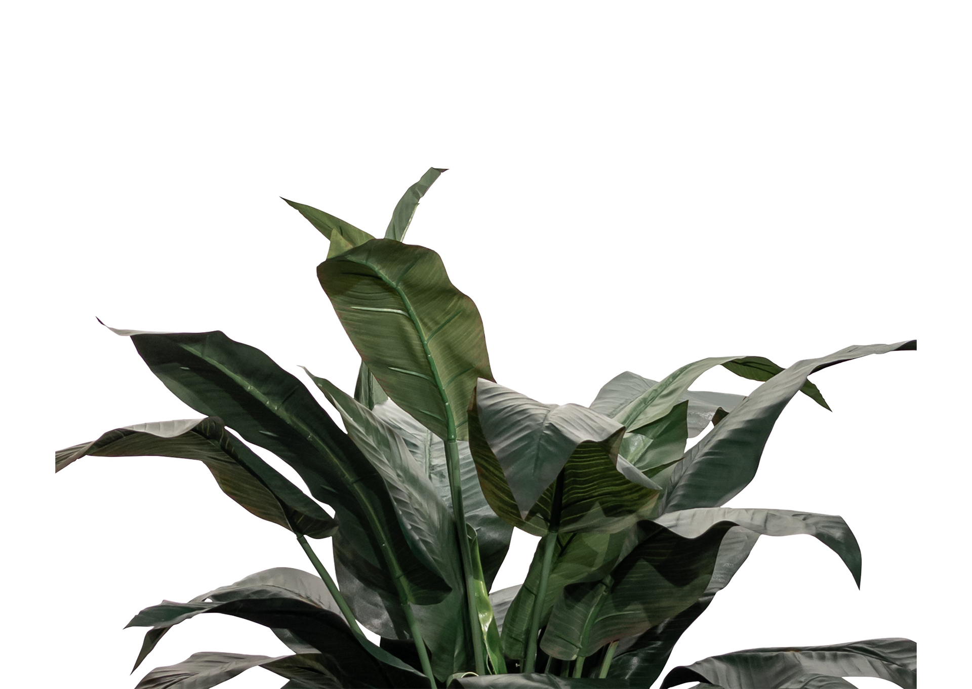 P102B20 MOOD  image 3