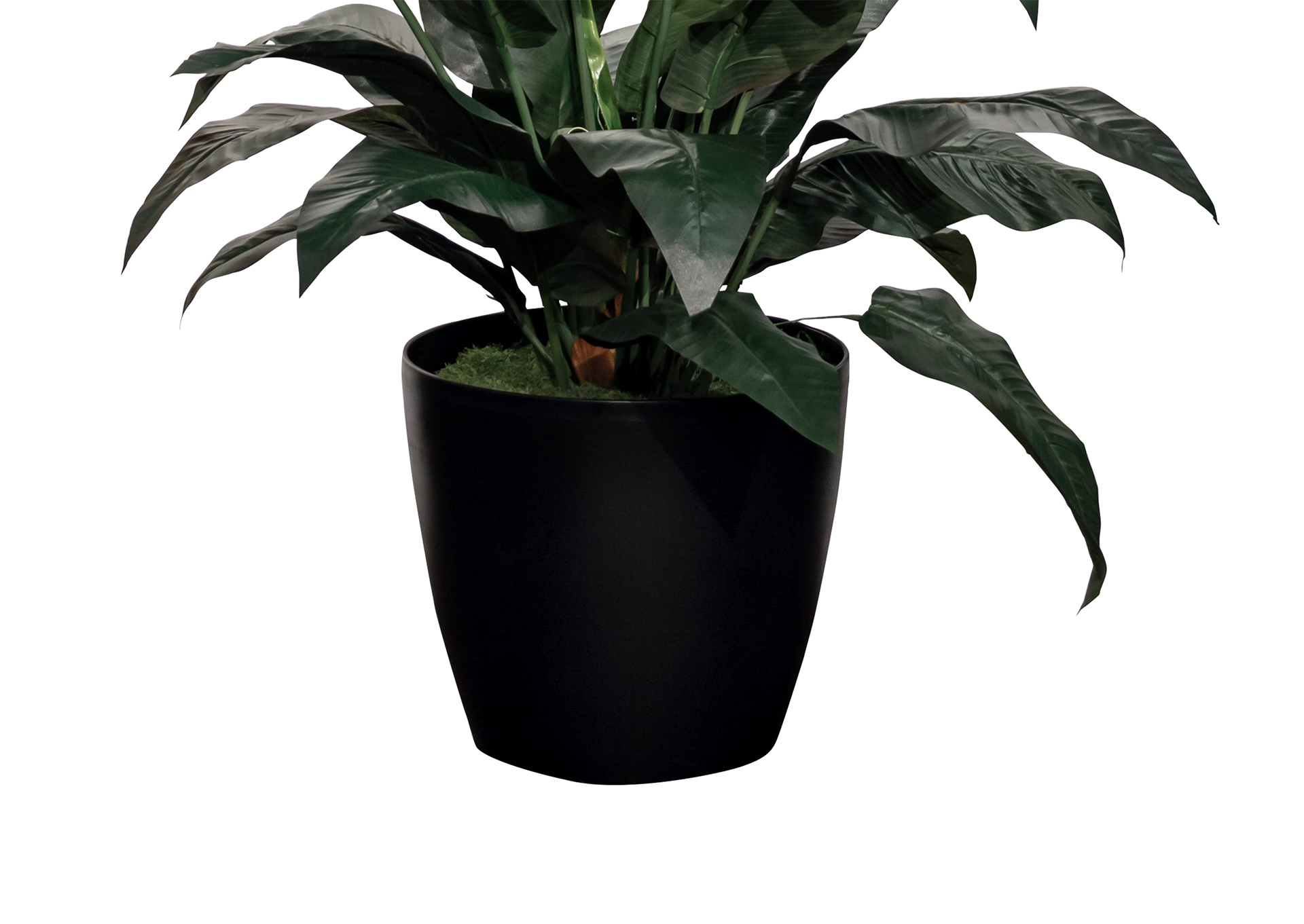 P102B20 image 2
