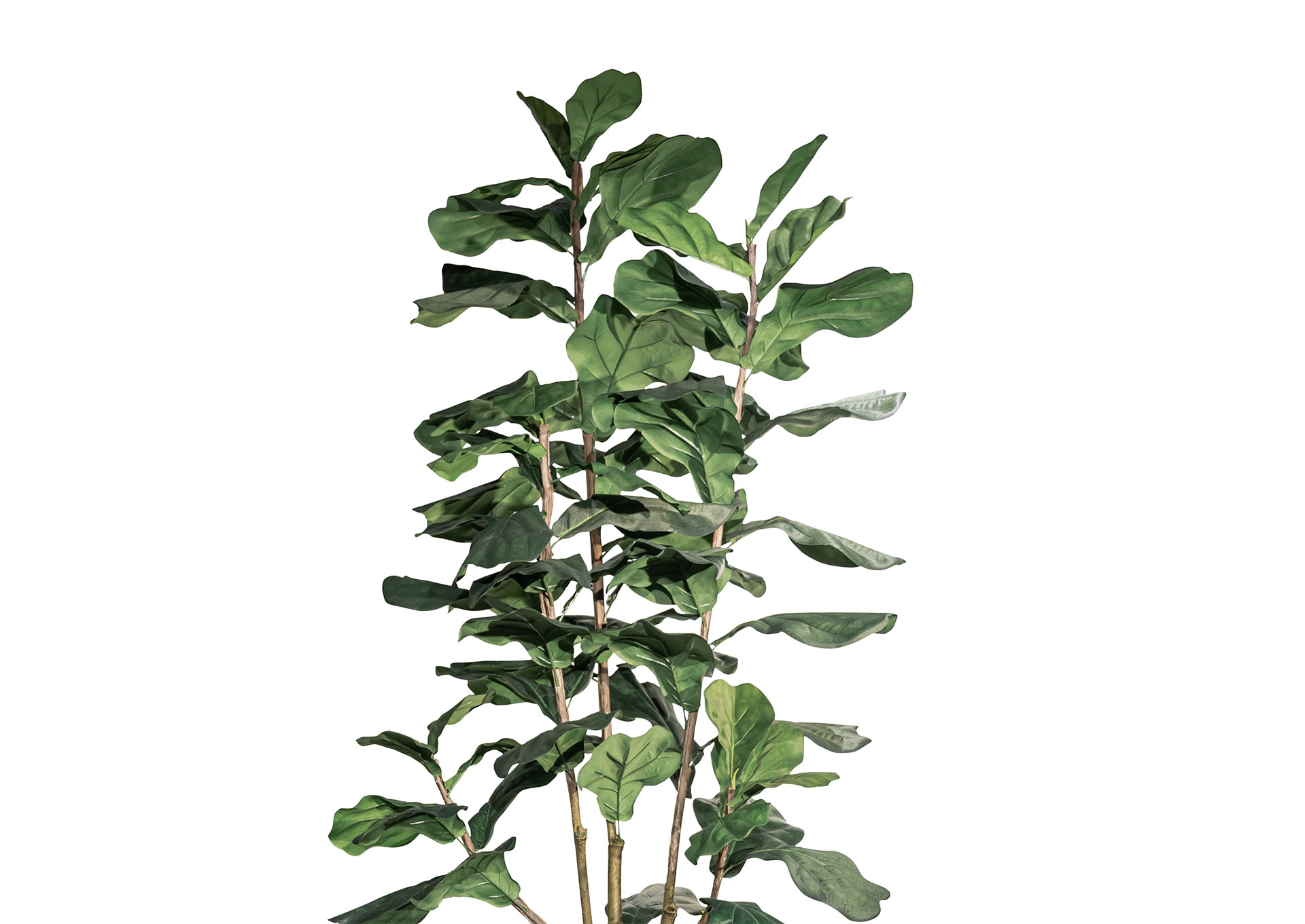 P114A21 MOOD  image 3