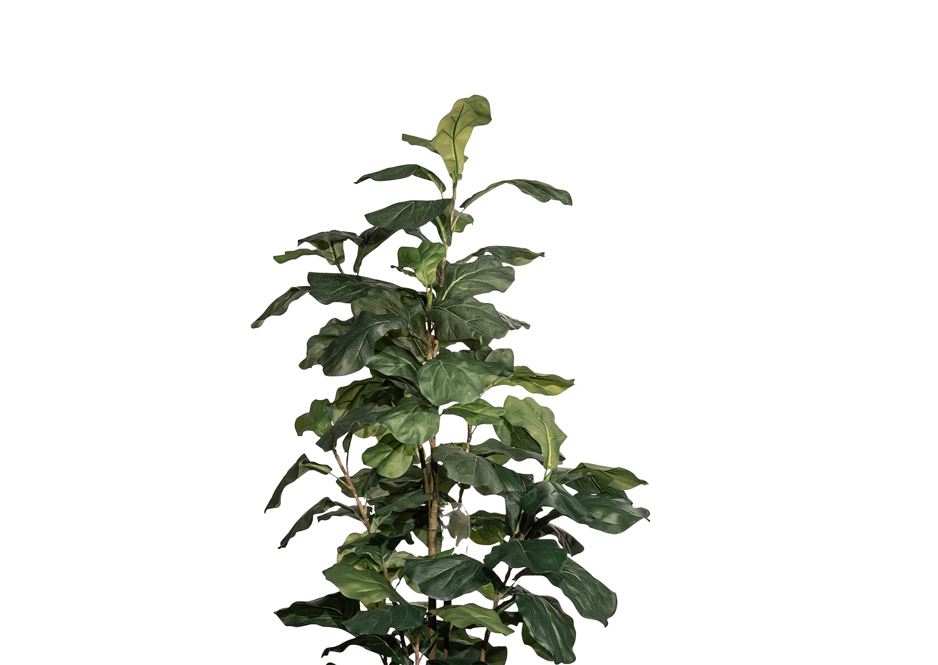 P68B9-71SB-S MOOD  image 3