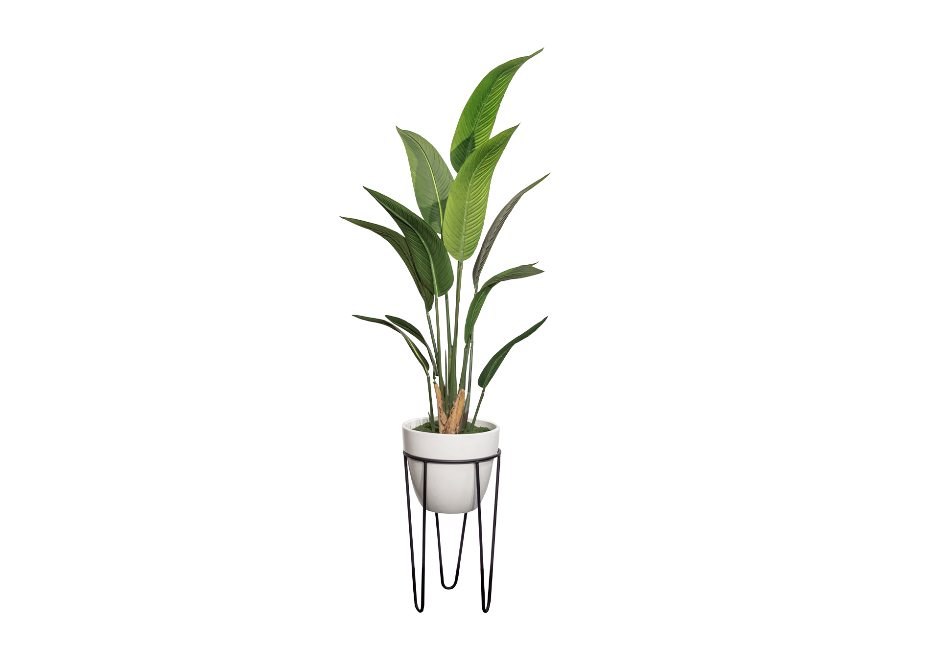 Palmera de viajero de 6' en blanco con soporte pequeño image 1