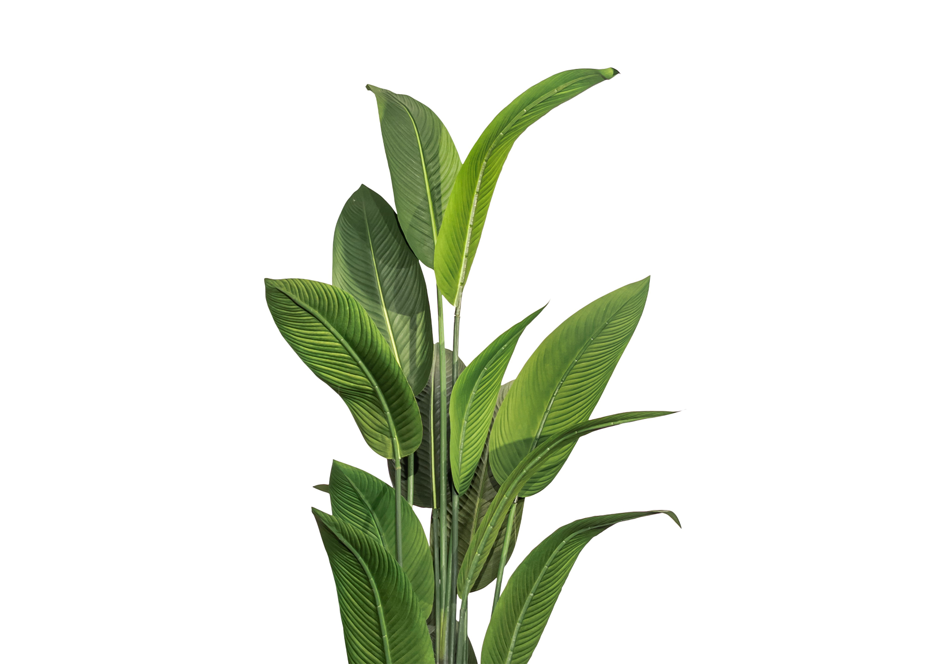 P77A20W-LGST MOOD  image 3