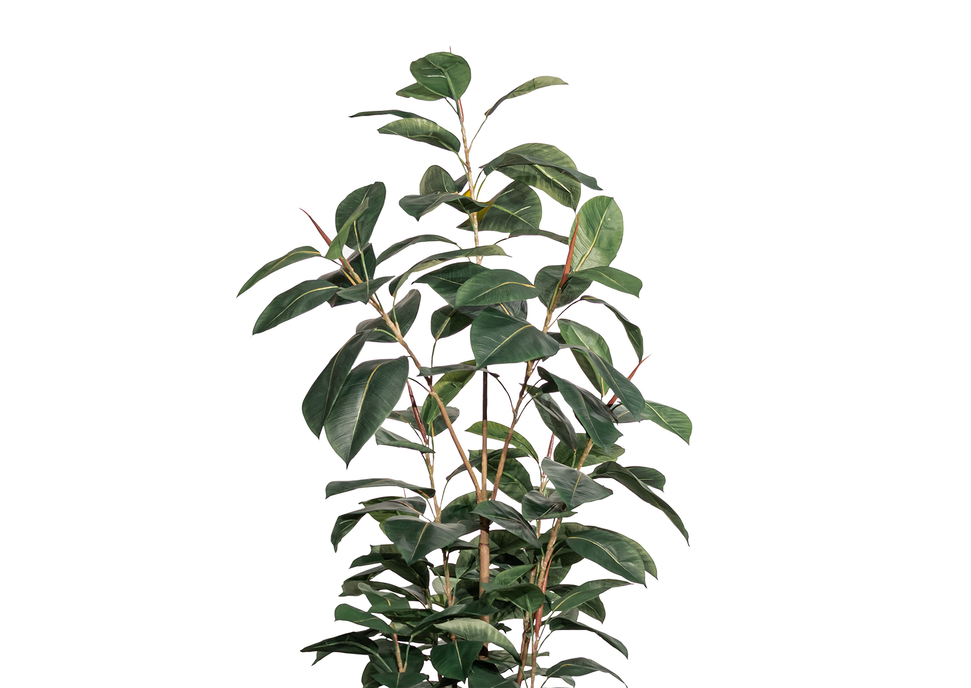 P87A20-BC12 MOOD  image 3